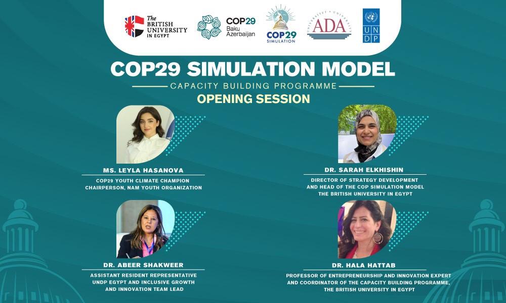 Cop29 Simulation 